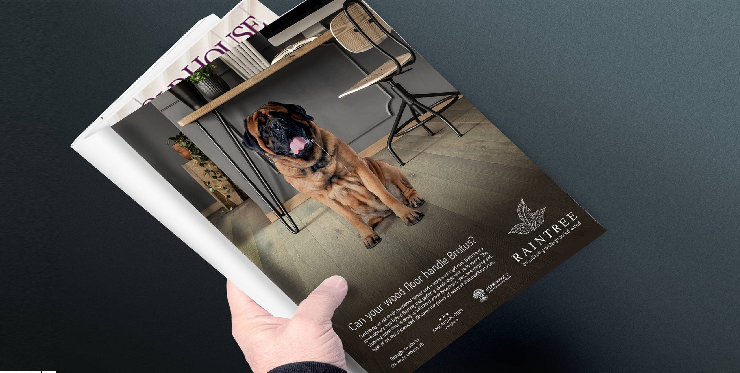 GRAPHIC DESIGN JOBS GAINESVILLE FL